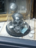 picture of skull under glass dome