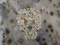 picture of skull composed of buttons