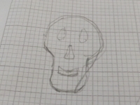 Small sketch of skull on graph paper