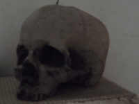 Skull candle