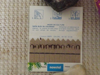 image of a match fold like promotional seed packet for pine trees internal view