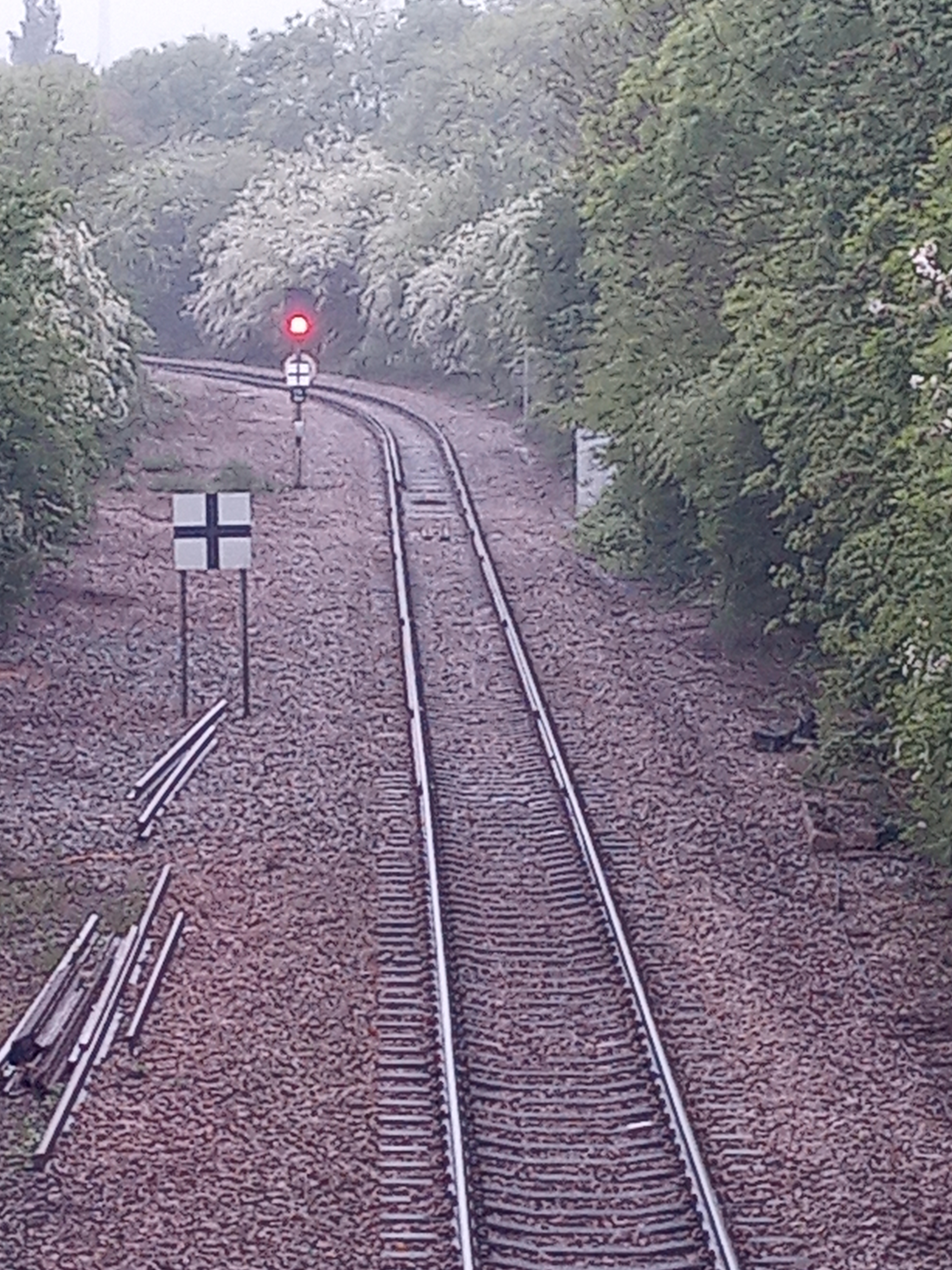Photo of railway tracks and a light set at red