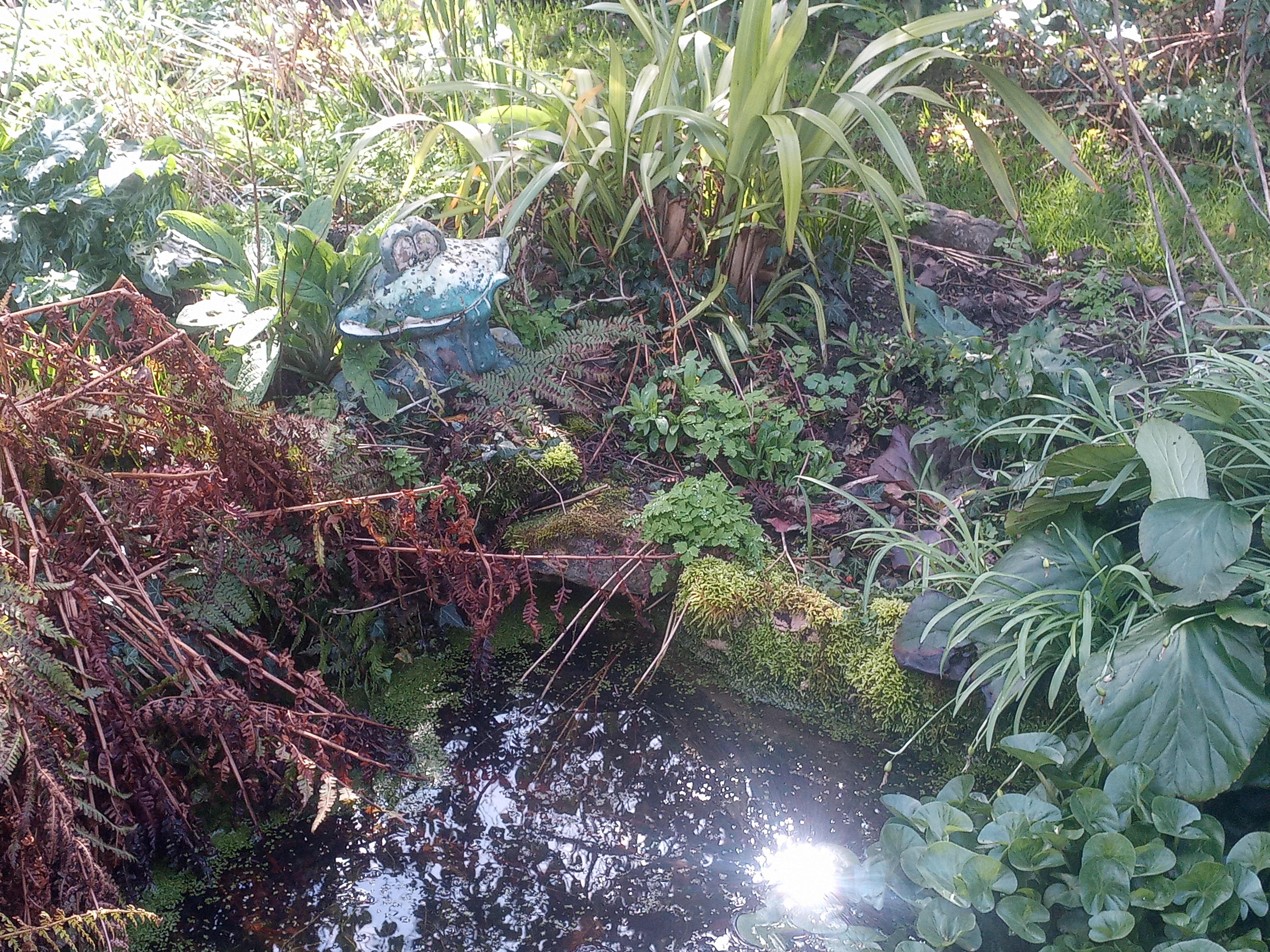 An ornamental frog by the side of a pond