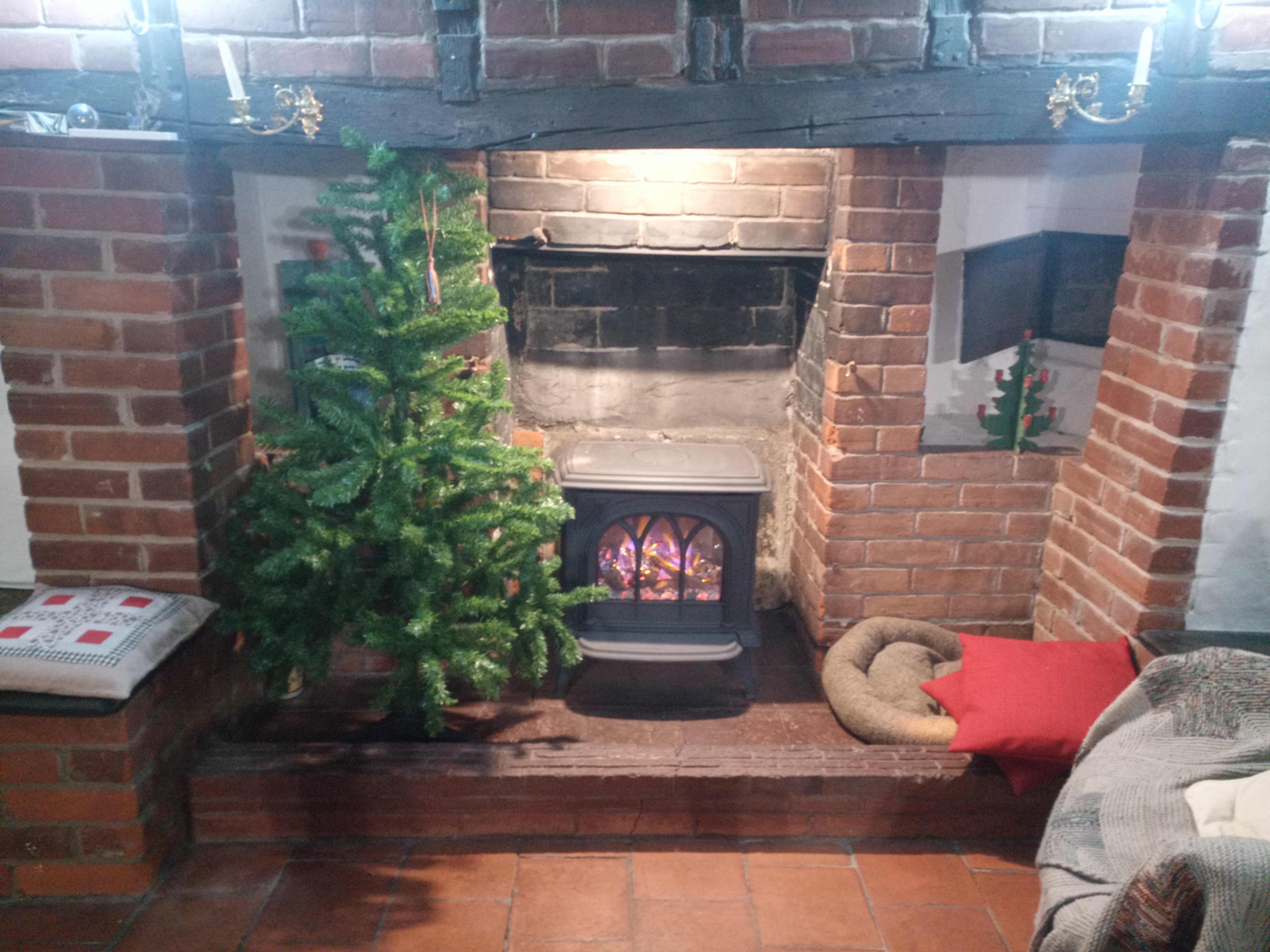Undecorated Xmas Tree in a Fireplace