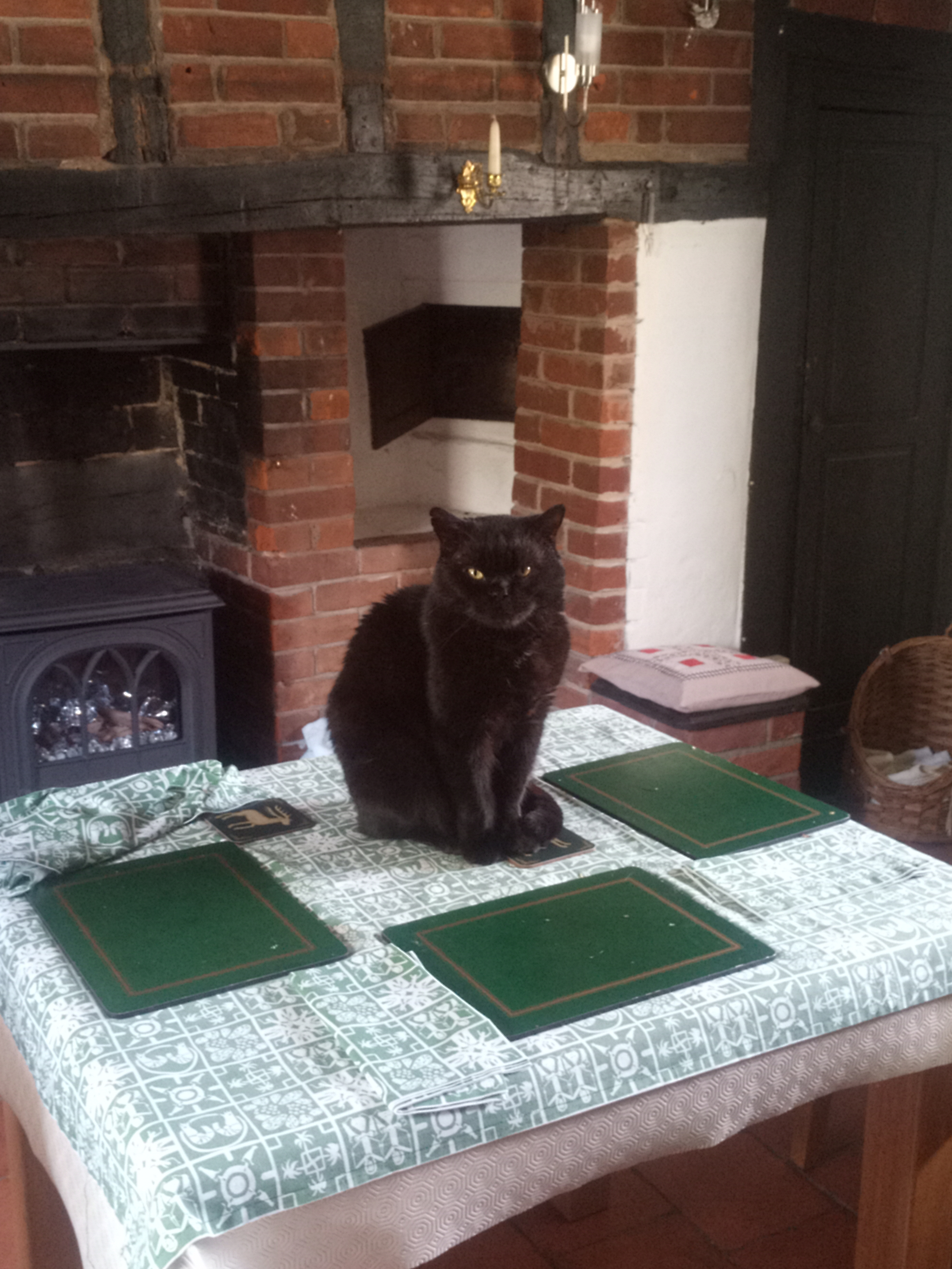 Black Cat Sitting on a Dining Table with Hearth and Bread Oven in the Background