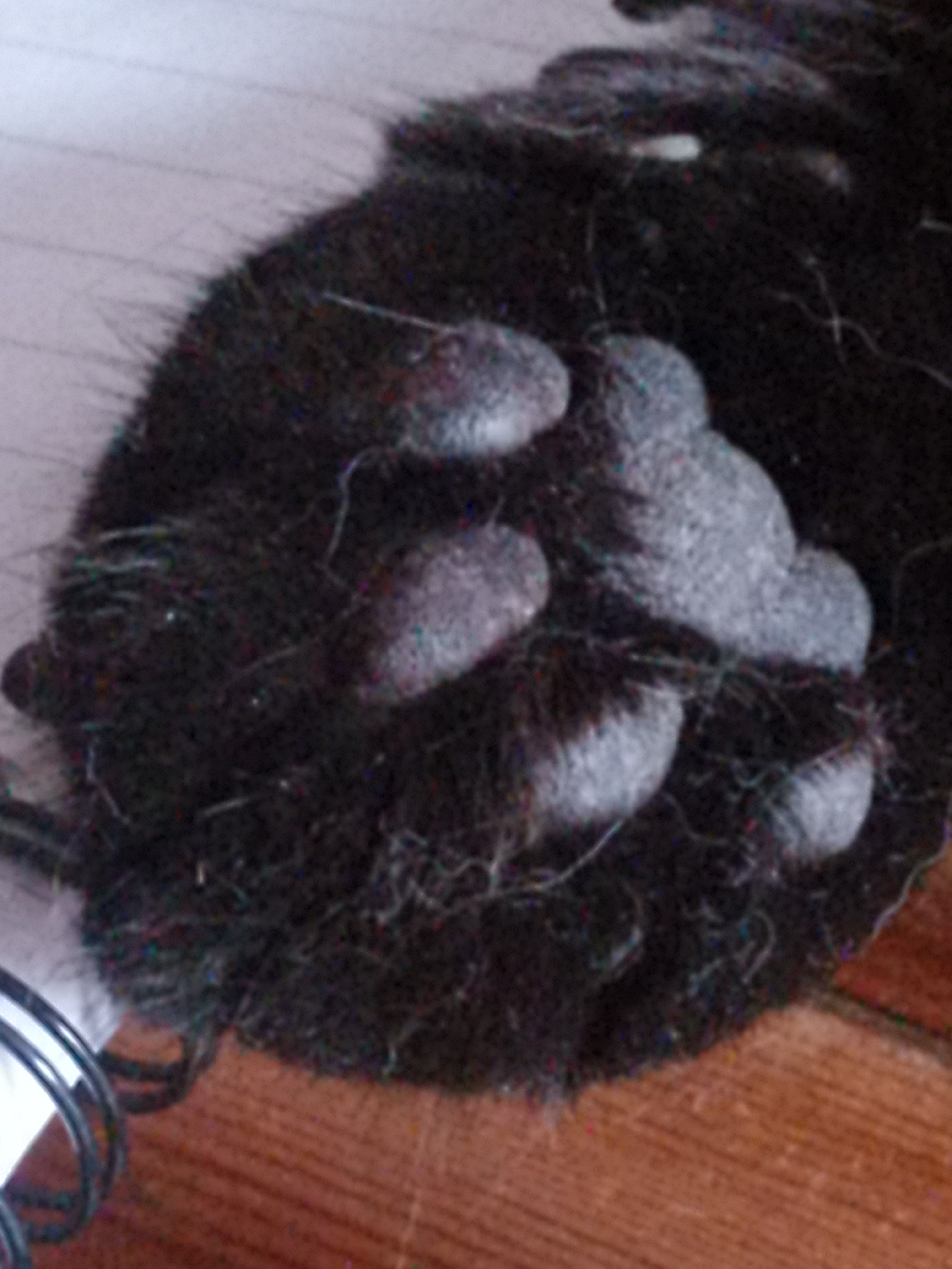 Pads of a Black Cat's Paw